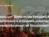 Революция Шама остро нуждается в сознательном и искреннем руководстве, которое обеспечит её безопасность