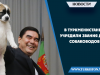 В Туркменистане учредили звания для собаководов