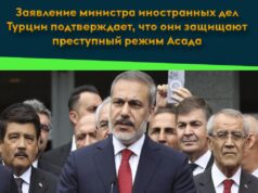 Заявление министра иностранных дел Турции подтверждает, что они защищают преступный режим Асада