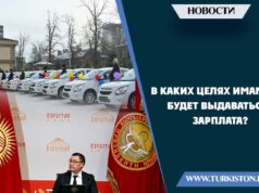 В каких целях имамам будет выдаваться зарплата?