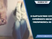 В Кыргызстане случаи семейного насилия увеличились на 32%