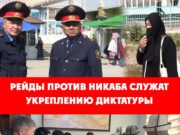 Рейды против никаба служат укреплению диктатуры