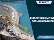 Бесплатный сыр бывает только в мышеловке