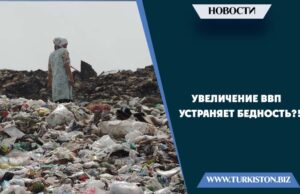 Увеличение ВВП устраняет бедность?!