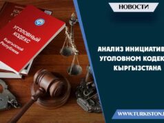 Анализ инициатив в уголовном кодексе Кыргызстана