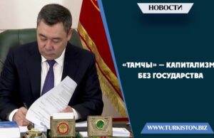 «Тамчы» — капитализм без государства