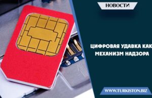 Цифровая удавка как механизм надзора